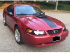 Thumbnail Photo 97 for 2003 Ford Mustang